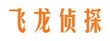 点军市调查公司